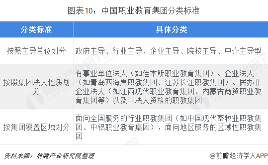 图表10:中国职业教育集团分类标准